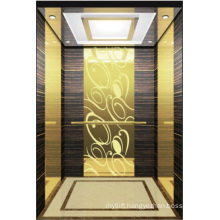 Passenger Elevator Lift Hight Quality Hl-X-023